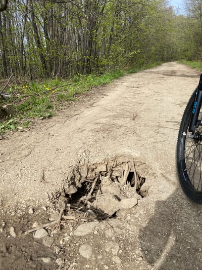 The image shows a dirt road in Pchelishte, Bulgaria, with a bicycle wheel visible in the upper right corner. The road has a large hole, approximately 30 cm in diameter, filled with tree roots and some rocks. Vegetation, including trees and some yellow flowers, lines the left side of the road. The scene suggests a trail or path in a natural area.