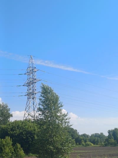 The image depicts a transmission tower in Krasnoobsk, Russia. The tower is made of steel lattice and supports multiple power lines that stretch across the frame. In the foreground, there is lush green foliage, including trees and bushes, partially obscuring the base of the tower. Beyond the foliage, a cultivated field with dark soil is visible, suggesting agricultural activity in the area. The sky is a clear, bright blue with a few wispy white clouds. The scene is bathed in natural daylight. There are no people or animals present in the image.