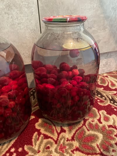 In an indoor setting, two large glass jars filled with preserved red berries, possibly cherries or cranberries, are positioned on a red and beige patterned rug. The jar in the foreground is partially filled with berries and clear liquid, with a slice of lemon floating near the top. The lid of this jar is colorful, with a pattern of red, green, and yellow. The second jar, visible on the left, is also filled with berries and liquid. The background features a textured gray wall, possibly tile or concrete. There are no people visible in the image. The scene is not specific to the city of Bujum, Kyrgyzstan, as no identifying landmarks or contextual clues are present.