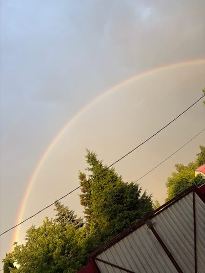 This media file captures a serene outdoor scene, likely in Манихино Снт, Russia. The primary subject is a prominent rainbow arcing across a pale, overcast sky. The sky itself appears diffused, suggesting either early morning or late afternoon, with a warm, hazy light. On the right side of the frame, a portion of a building with a corrugated metal roof and red trim is visible, angled away from the viewer. Lush green trees, possibly evergreens and deciduous trees, frame the scene from the right and bottom edges, their foliage catching the soft light. Two dark power lines diagonally traverse the sky, adding a geometric contrast to the natural elements. There is no indication of people or specific activities, evoking a sense of calm and natural beauty. The weather appears to be post-rain, with the rainbow being the clear indicator. The overall mood is peaceful and contemplative, highlighting the ephemeral beauty of a rainbow after precipitation. No visible text is present in the image.