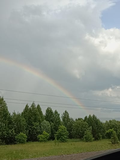 A natural landscape is depicted under a cloudy sky with a visible rainbow. The scene is dominated by a dense line of various green trees in the midground, with some lighter green foliage and grass in the foreground. In the distance, a hazy horizon line is visible, suggesting rolling hills or a further expanse of land. Several power lines stretch horizontally across the frame, above the trees. The sky is mostly overcast with shades of gray and white, but a patch of blue sky is visible in the upper right corner. A distinct rainbow arcs across the left side of the sky, its colors muted by the cloudy conditions. The overall impression is of a post-rain or pre-rain scene in a rural or natural setting. The time of day is ambiguous, but the lighting suggests it could be afternoon or early evening. The weather is clearly mixed, with both rain and sun contributing to the rainbow. No people, objects, or text are discernible in the image. The location context provided is Krilovo, Russia.