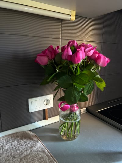 A bouquet of vibrant pink roses sits in a glass jar on a kitchen counter. The roses are tightly packed, their petals unfurled, with lush green leaves fanning out around them. A bright pink ribbon is tied around the neck of the jar, adding a decorative touch. The jar, filled with water, displays the rose stems reaching down to the bottom. Behind the flowers, a dark gray tiled wall serves as a backdrop, with a white electrical outlet and switch mounted on it. Above the tiles, a cream-colored ledge with a fluorescent light fixture is visible. To the right, a portion of a black stovetop is present. In the foreground, a textured beige mat lies on the counter. The scene is brightly lit, with sunlight casting shadows that highlight the textures of the objects.