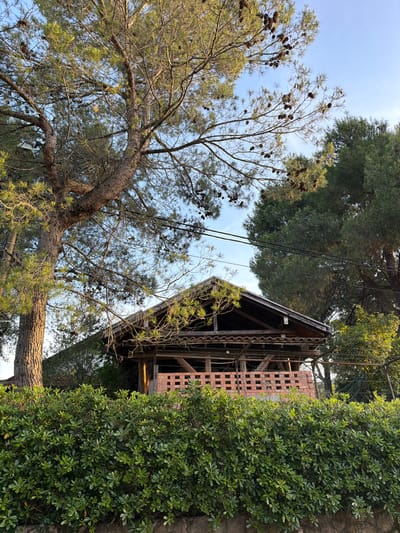 The image, taken in Krašići, Montenegro, shows a tree with pinecones, foliage, a wooden structure, and a brick wall. The camera is pointed upwards towards the sky, which is visible in the gaps between the trees and the structure. Power lines cut across the sky. The wooden structure features exposed beams. The brick wall has a grid pattern.