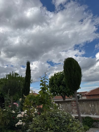 This is an outdoor, eye-level, full shot of a garden with a cloudy sky. The garden contains various plants, including roses, a tall, thin cypress tree, and a large, oval-shaped evergreen. In the background, there is a concrete wall with a brick accent, and behind that, tiled rooftops of buildings are visible. The sky is filled with dramatic, dark grey clouds interspersed with patches of blue sky. Electrical wires are strung across the upper right portion of the image. The scene appears to be located in a residential area of Kabile, Bulgaria. There are no people or animals present.