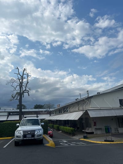 A white Mitsubishi Montero SUV is parked on a paved road in front of a commercial building in San Rafael, Costa Rica. The building, likely a restaurant, has a white facade and a gray awning, and the sign "La Bonta" is visible. The SUV is parked near a yellow painted curb and a crosswalk. In the background, there is a large, bare tree and a blue sky with white clouds.