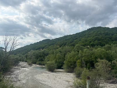 The image shows a natural landscape with a river flowing through a valley. A steep, densely wooded hill rises on the right side of the frame, covered in lush green trees. The sky above is overcast with dramatic, gray clouds. The riverbed is filled with smooth, light-colored stones, and the water appears shallow and clear in some areas, with rippling surfaces in others. Bare, gnarled branches of a dead tree extend from the left side of the frame, reaching towards the river. The riverbanks are lined with more greenery, including bushes and smaller trees. In the foreground on the right, a rusty metal pole protrudes from the ground amidst scrubby vegetation. The scene suggests a remote, natural environment, possibly in the outskirts of Buriani, Georgia. There are no people or animals visible in the image.