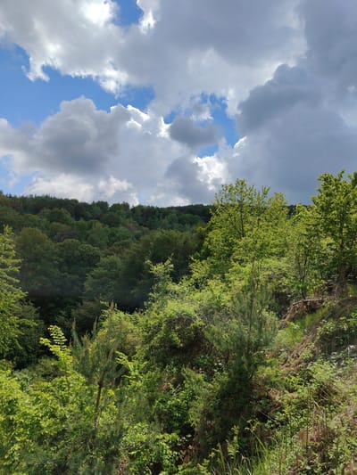 The image depicts a densely forested landscape, possibly on a hillside, under a partly cloudy sky. The forest is composed of various green trees and shrubs, showing a mix of dense canopy and clearer undergrowth. The sky is a mix of blue and greyish-white clouds. No people are visible in the frame. The location is likely rural and there is no direct indication in the image it is in the city of Dedovo, Bulgaria.