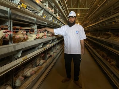 The image depicts the interior of a commercial poultry farm in Shuyene Vosta, Afghanistan. A male individual stands centrally in an aisle, facing the camera. He has dark hair, a full dark beard, and wears a white baseball cap and a white short-sleeved t-shirt, both adorned with a blue and white logo featuring a stylized wave or animal. He is also wearing dark trousers and brown shoes. His right arm is extended towards a multi-tiered system of metal and wire cages to his left, with his right index finger pointing or touching the cages. Parallel rows of identical cages, housing numerous light brown and white hens with red combs, extend into the background on both sides of the aisle. Visible within the cages are feed troughs containing granular feed, and several eggs resting on inclined cage floors. The facility is illuminated by artificial lighting.