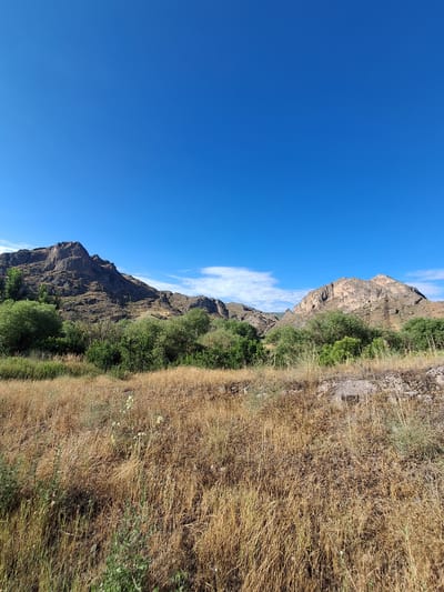 A wide-angle, eye-level shot captures a natural landscape under a clear, bright blue sky. The foreground is dominated by a field of dry, golden grass, interspersed with some green vegetation. In the midground, a dense line of green trees and shrubs stretches across the scene, forming a verdant border. Beyond the trees, rugged, brown mountains rise steeply. Two distinct mountain peaks are visible, one on the left with a jagged silhouette, and another on the right, appearing more rounded and illuminated by sunlight. The sky above is vast and unblemished, with only a few wispy white clouds scattered in the distance. The overall impression is of a rural, arid environment. This scene is located in the vicinity of Malishka, Armenia.