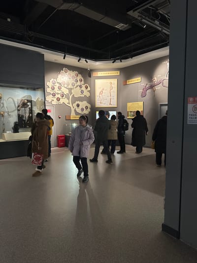 A group of people are visiting a museum exhibit. They're arranged in a line, viewing displays about human evolution, including diagrams of skeletal structures and a tree-like chart with portraits of hominids. The exhibit also features a glass case displaying what appear to be skeletal remains. A fire extinguisher is visible next to one of the displays. Overhead, there is a black ceiling with lighting fixtures.