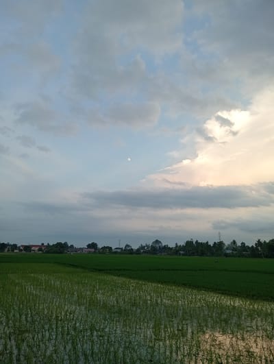 This image depicts a rural landscape with a rice paddy in the foreground, reflecting the sky. The sky is filled with a mix of gray and white clouds, with a faint full moon visible in the upper center. In the middle ground, a line of trees separates the rice paddy from a row of buildings and houses. The buildings appear to be of various sizes and colors, suggesting a small settlement. In the far background, there are more trees and a visible electrical tower. The scene is likely captured during the early evening or late afternoon, given the lighting conditions. The location is identified as Nibong, Indonesia.