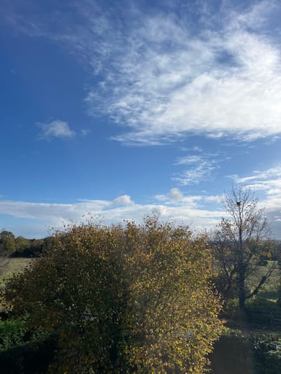 This image depicts a rural or semi-rural landscape located in Vieux, France, under a clear blue sky with scattered white clouds. The sun is positioned to the upper right, casting bright illumination across the scene.
In the foreground and mid-ground, a large, deciduous bush or tree with dense, yellow-green autumn foliage dominates the lower-center and left. To its right, a taller, mostly bare deciduous tree stands, clearly showing a bird's nest constructed within its upper branches. Further right and slightly lower, dark green foliage possibly indicates another bush or hedge, and a dark fence or gate structure is partially visible through sparse branches.
The background reveals a light brown or tan field, indicative of dry grass or harvested land, extending towards a distant dark treeline that defines the horizon. The sky features a mix of wispy cirrus-like clouds stretching from the upper right across the frame, and more defined cumulus clouds appearing towards the left and lower sky. Several small, dark avian forms are visible against the blue sky, suggesting birds in flight. No human figures or specific actions are depicted.