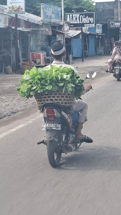 An Indonesian man wearing a white shirt and a peci cap rides a Honda motorcycle through a street in Barat Yaman, Indonesia. He carries a large woven basket filled with lush green vegetables strapped to the back of his motorcycle. The basket is secured with a blue tarp underneath. The motorcycle has a license plate that reads "B4582NE". In the background, shops line the street, with various signs including "ALEX Distro". Another motorcyclist, a woman in a patterned dress, is visible ahead on the right. The road is paved and appears to be in a commercial area.