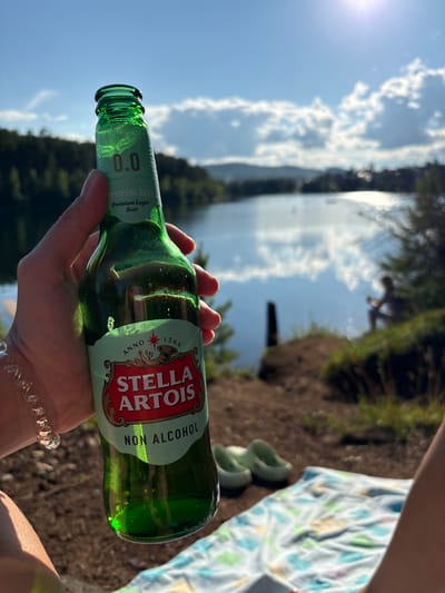 A hand holds a green glass bottle of Stella Artois Non Alcohol beer. The bottle has a pale green label with the Stella Artois logo. The background is a sunny day with a lake and trees. There are some clouds in the sky. A person is visible in the distance sitting on the shore of the lake. There is a blanket on the ground in the foreground. The location is a natural setting near a body of water, which is a common scene in and around Ust'-Ilimsk, Russia, a city known for its proximity to the Angara River and its surrounding forests.