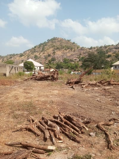 A landscape features a barren field littered with chopped tree branches and uprooted stumps. In the background, a small hill is covered with sparse vegetation and rocky outcrops. Several buildings are scattered at the base of the hill, including a white house with a red roof and a skeletal structure with exposed brick. The sky above is partially covered with scattered clouds, suggesting a bright, sunny day. The overall scene conveys a sense of deforestation or clearing of land.