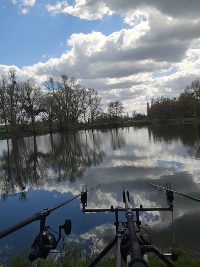 The image depicts a fishing scene in Gavisse, France. Two black fishing rods are mounted on a black rod stand on a grassy bank at the edge of a body of water. The water reflects the sky, which is filled with white and gray clouds, and bare trees along the opposite bank. The scene is captured from a low angle, emphasizing the fishing equipment and the reflection on the water's surface.