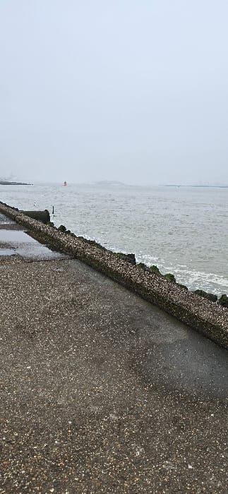 The image presents a coastal scene under an overcast sky, likely captured at the Hook of Holland, Netherlands. The photograph is oriented vertically, showing the horizon line running vertically down the left side, as if the camera was tilted 90 degrees clockwise.

In the foreground, occupying the right side of the frame (if correctly oriented), is a dark, wet, textured paved surface, characteristic of a promenade or coastal path. This surface, possibly concrete or asphalt with embedded aggregate, appears damp, suggesting recent rain or sea spray.

Adjacent to the paved area, and separating it from the water, is a sturdy seawall or dike. The top edge of this concrete barrier is heavily encrusted with barnacles or similar marine growth, with noticeable patches of green algae, indicating constant exposure to the sea.

The body of water, presumably the sea, dominates the left side of the image. It appears choppy, with whitecaps and foam visible as small waves break against the seawall. The water itself is a muted grey-green under the diffuse light. In the mid-distance on the water, a small red object, likely a navigation buoy or marker, is discernible. A very faint, hazy landmass or horizon line can be vaguely seen in the far background. The sky above is a uniform, light gray, confirming the overcast conditions.

There are no people or specific activities taking place. No visible text is present. The overall impression is one of a quiet, somewhat somber coastal environment on a cloudy day.