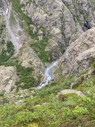 This image captures a deep, rugged mountain gorge in the vicinity of Innertkirchen, Switzerland. A prominent, vibrant turquoise-blue glacial river flows through the center of the valley, exhibiting segments of rapids and white water. The river is bordered by steep, imposing rock faces composed of fractured gray and dark gray granite, displaying vertical striations in sections.

On the upper left, a substantial scree slope descends, interspersed with patches of green vegetation and a few small, isolated snow patches. The right side of the gorge features a particularly steep, dark, and highly textured rock wall. Throughout the scene, especially in the mid and foreground, various green shrubs, bushes, and alpine grasses cling to ledges, slopes, and rocky outcrops. In the lower right foreground, a narrow, winding dirt or gravel path is visible, ascending into the mid-ground. Scattered boulders are also present in the lower sections. No individuals, animals, or man-made structures, apart from the visible path, are present. The lighting is diffuse, characteristic of an overcast day.