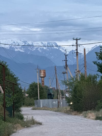 The image depicts a rural scene in Dachi, Kazakhstan, with a dirt road winding through vegetation and leading towards a backdrop of snow-capped mountains. Power lines crisscross the sky, supported by utility poles of varying designs. In the mid-ground, a rusty water tower stands prominently. Green trees and bushes line the sides of the road, with some showing signs of overgrowth. A corrugated metal fence is visible to the right of the road. The sky is overcast with a muted, bluish-gray hue. The overall impression is one of a somewhat aged, utilitarian infrastructure situated within a natural, mountainous landscape. There are no people visible in the image.