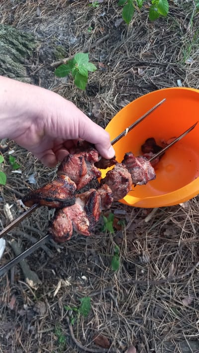A hand is holding two skewers of cooked meat over an orange plastic bowl. The skewers are made of metal and the meat appears to be beef or pork, with some charring on the edges. The bowl contains a few more pieces of cooked meat. The scene is outdoors, on the ground covered with pine needles and small green plants, suggesting a forest or park setting. The background is out of focus. The overall impression is that of a picnic or barbecue.