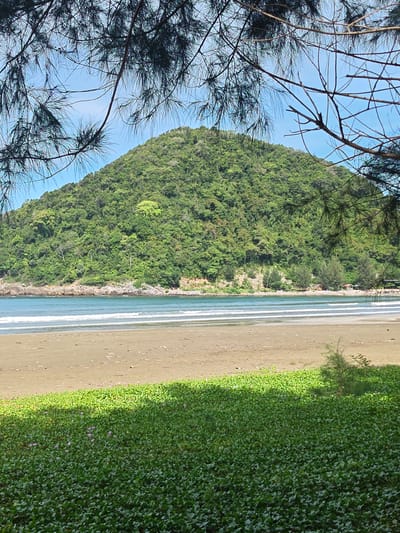The image shows a beach scene in Naga Umbang, Indonesia. A densely vegetated hill rises in the background, meeting the coastline. A sandy beach stretches towards the viewer, bordered by shallow waves. Foreground vegetation covers the lower portion of the image. The view is partially framed by tree branches overhead.