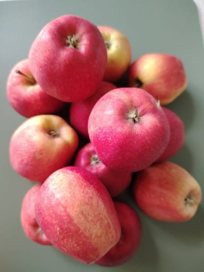 A close-up, high-angle shot shows a pile of red and yellow apples on a gray, slightly textured surface. The apples are of varying sizes and shades, with some predominantly red and others with streaks of yellow and pink. The lighting creates a soft glow on the fruits, highlighting their smooth skin and the small brown stems visible on some. The overall impression is of a fresh harvest or a still life arrangement. The image appears to be taken in a domestic setting, with no specific indicators of being located in the city of Кривец, Russia.