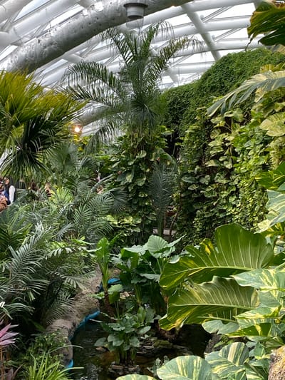 The image shows an indoor botanical garden in Konya, Turkey. The foreground is densely populated with various tropical plants including palm trees, leafy vines, and broad-leaved species. Some of the plants are partially obscuring the view of people in the lower central part of the image. A water feature is visible in the right midground with artificial blue streams. A metal framework structure supports the roof of the garden, visible in the upper left corner. The lighting appears to be artificial, supplementing natural light.