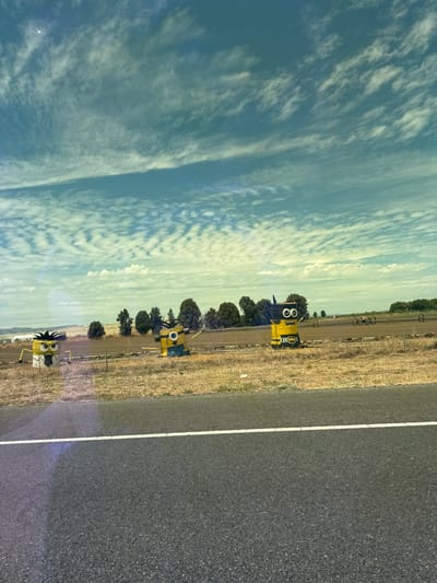 Three figures resembling Minions, characters from the Despicable Me franchise, are positioned in a dry, grassy field adjacent to a paved road. The figure on the left is yellow with black spiky hair, wearing a white shirt and black tie, and has yellow arms extended forward. The middle figure is primarily yellow with blue overalls, two goggles over its eyes, and yellow arms bent outwards. The figure on the right is also yellow and blue, with large googly eyes, a black bat symbol on its chest, and yellow arms outstretched to the sides. In the background, there are trees, farm fields with circular irrigation systems, and a partly cloudy sky with wispy clouds. The scene is captured from the perspective of a vehicle on the road. The location is identified as Dixon, United States of America.
