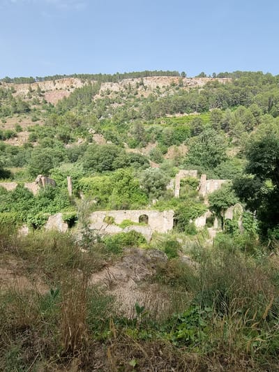 The image depicts a verdant hillside overlooking ancient ruins, likely abandoned structures being reclaimed by nature. The ruins, constructed from stone, are partially obscured by dense foliage and overgrown vegetation, suggesting a period of neglect. Arched openings are visible in some of the crumbling walls. The surrounding environment is characterized by a lush, green landscape with various trees and plants. In the background, a rocky cliff face rises, topped with a line of coniferous trees. The sky above is clear and blue, indicating fair weather. The scene appears to be in a rural or natural setting. Based on the provided context, this location is identified as the ruins of the Cartuja de La Valldigna, situated in the municipality of Simat de la Valldigna, near Anna, Spain.