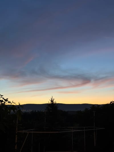 A vertical, low-light photograph captures the sky above Tankovo, Bulgaria, at dusk. The sky transitions from a deep blue at the top to lighter shades of blue and then to a warm yellow-orange band near the horizon. Wispy clouds streak across the sky, tinged with pink and purple hues. Below the sky, a dark silhouette of a dense forest stretches across the mid-ground. A single, slender pine tree stands out against the darker foliage. In the distance, a faint line of lights suggests the presence of a town or settlement nestled among the hills. The foreground is dominated by the dark silhouettes of trees and some indistinct structures, possibly part of a fence or railing. The overall impression is one of serene twilight ambiance.