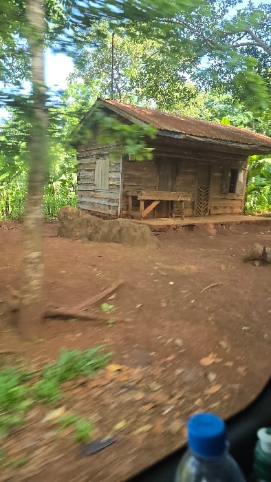 The image presents a rustic wooden building situated in a lush, natural environment, characteristic of a rural setting in Shimbi Mashariki, Tanzania. The scene is captured during the daytime under clear, sunny weather conditions.
The primary subject is a simple, single-story structure constructed from horizontal wooden planks or logs, giving it a weathered appearance. The building features a corrugated metal roof, which shows signs of rust, suggesting age or exposure to the elements. Two window openings are visible: one on the side façade and another on the front, partially obscured by a rudimentary wooden lean-to or support structure attached to the building.
The ground surrounding the structure is composed of reddish-brown soil, typical of many regions in Tanzania, with sporadic patches of green vegetation or grass. Dense, vibrant green trees and foliage frame the building, with branches extending into the upper parts of the frame and a clear blue sky peeking through the canopy, indicating abundant daylight.
In the blurred foreground, a clear plastic water bottle with a bright blue cap is visible, lying on the reddish-brown ground. No people or significant activities are depicted, conveying a static and tranquil atmosphere. There is no visible text in the image. The overall impression is one of humble dwelling amidst nature, reflecting a simple, rural way of life.