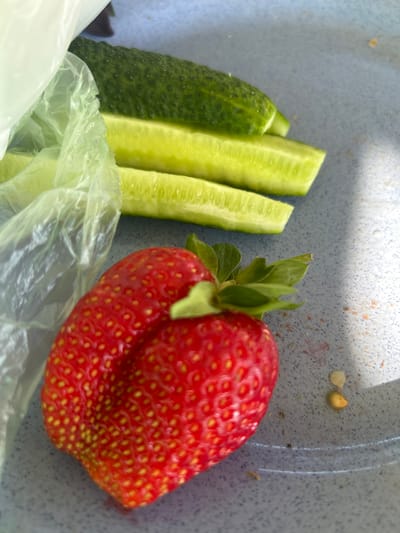 A close-up, overhead shot captures a ripe strawberry resting on a light blue speckled plate. The strawberry, with its vibrant red skin and visible yellow seeds, is positioned in the lower left of the frame. To the right and behind the strawberry, several segments of cucumber are visible, showing their pale green flesh and textured skin. To the left of the cucumbers and partially obscuring them is a crinkled, translucent plastic bag. The plate appears to be outdoors, as suggested by a shadow cast from the upper right corner, indicating a sunny environment. The background is out of focus. There is no information in the image to determine its location in Lotoshino, Russia.