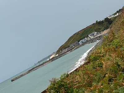 This image shows a tilted view of a coastal scene in Courtown, Ireland, with a body of water in the foreground and a grassy hill with buildings and a pier in the background. The water, likely the Irish Sea, is a muted teal color with small waves. A long, concrete pier extends diagonally from the left side of the frame into the water. The pier is dark and appears weathered, with some electrical poles visible along its length.
The hill slopes up from the water and is covered in green grass, with a few patches of brown, dry vegetation. Several white and grey buildings are nestled into the hillside, suggesting a small coastal community or resort. Some cars are parked near the buildings. The buildings appear to be houses or small businesses.
In the foreground, a dense patch of ferns and other leafy green and brown vegetation occupies the lower right portion of the frame, adding a naturalistic element to the scene. The sky is a pale, overcast grey, indicating a cloudy or hazy day. The overall impression is of a quiet, somewhat rugged coastal landscape.