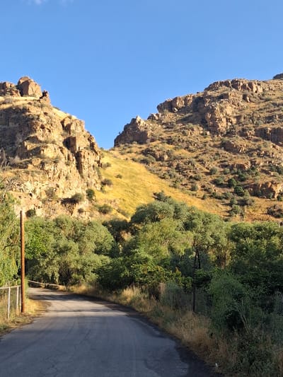 The image shows a scenic view of a rural road winding through a valley in the city of Vayk, Armenia. The road is paved and appears to be in moderate condition, with some cracks visible. On either side of the road, there are lush green trees and vegetation, with dry grass lining the edges. In the background, towering rocky mountains dominate the landscape, their rugged faces illuminated by the warm glow of the sun. The sky above is a clear, vibrant blue, with a few wispy clouds adding texture. The overall impression is one of natural beauty and tranquility.