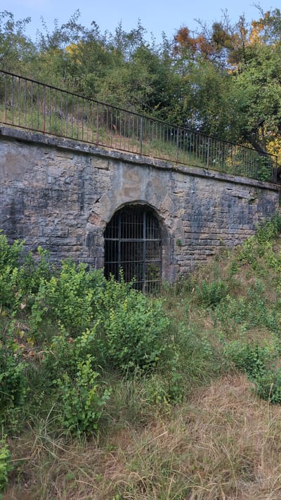The image shows an arched stone structure with a metal grate covering an entrance. The structure is built into a hillside, with dense green foliage and dry grass in the foreground. A rusted metal railing runs along the top of the stone wall. The sky above is clear and blue. There are no people visible in the image. The scene appears to be in an overgrown, somewhat neglected outdoor setting, possibly in a park or on the outskirts of a town.
