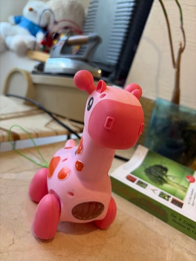 A pink toy giraffe with orange spots sits on a tiled surface. The giraffe has large, rounded ears, a short neck, and stubby legs. A green string is attached to its back. In the background, a book with a green cover and the words "Traditional China" visible is partially in focus. Further back, other blurred objects are visible, including what appears to be a stuffed animal and an electronic device. The overall scene is an indoor setting. No specific details regarding the city of Orhei, Moldova, can be determined from the image.