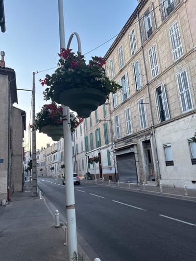 This image shows a street in Toulon, France, likely during the early evening or late afternoon, given the soft, diffused light. The street is lined with buildings of a classic European architectural style, characterized by tall, multi-story structures with numerous windows, many featuring white shutters. One prominent building on the right side of the street is a pale beige color with detailed stonework around the entrance. Another building on the left is a more muted, aged plaster tone.

The street itself is paved and appears to be a public road with marked lanes. There is a sidewalk on the left side of the street, separated from the road by a low curb and small white bollards. On the right side, the sidewalk is less distinct and appears to be integrated with the building facades in places.

Decorative elements are visible, including hanging flower baskets with red and white flowers suspended from lampposts. One lamppost in the foreground is white and has a distinct curved arm holding a large planter. Other lampposts are visible further down the street.

A silver car is driving away from the camera on the right side of the road, with its taillights illuminated. A single pedestrian is visible walking on the sidewalk in the distance on the left side of the street. Trash cans are visible near the curb on the right side of the road in the background. The overall atmosphere is one of a quiet, residential or commercial street in a European city.