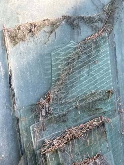 The image shows a close-up, overhead view of broken pieces of glass scattered on a textured, light gray surface. The glass appears to be thin and possibly part of a window or a similar structure, as some pieces have a wire mesh pattern embedded within them. These patterns are formed by thin, diagonal lines that create a grid-like effect.
Scattered amongst the glass fragments are dried pine needles and small leaves, indicating an outdoor setting. Some of the glass pieces are stacked, while others lie flat or at angles. The overall impression is one of disarray and decay. The lighting suggests it is daytime, with a diffuse light source creating soft shadows. There are no people visible in the image, nor any clear indications of a specific event taking place beyond the natural accumulation of debris. The texture of the underlying surface is somewhat rough and uneven. The location context of Ovsyanka, Russia, combined with the presence of pine needles, suggests a possible natural environment or an area exposed to the elements. No text is visible in the image.