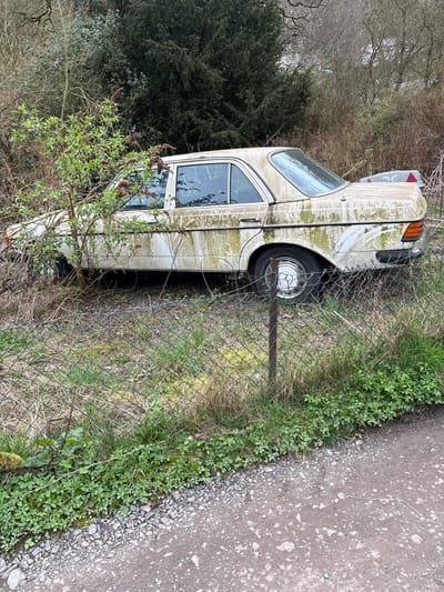 The image displays an abandoned, heavily weathered light-colored four-door sedan, identified as a Mercedes-Benz W123-series, located in Snailbeach, United Kingdom. The vehicle is positioned facing left, severely discolored by extensive green algae, dirt, and mildew, obscuring its original white or cream paint. All windows are present but dirty. A young leafy shrub with small brown berries partially obscures the car's front left quarter and driver's door area. The visible tires are inflated, and circular chrome hubcaps are on the wheels.
A green chain-link fence with dark metal posts extends horizontally across the mid-ground, separating the car from a dirt and gravel path in the foreground. Dense green grass and low-lying vegetation grow around the fence line and along the path's edge. In the far right background, behind the sedan, a portion of a white object, possibly a trailer or vehicle body, with a red triangular reflector, is visible. The background consists of dense, mixed vegetation, including numerous bare deciduous trees and dark evergreen foliage. No individuals are present, and no actions or interactions are depicted.