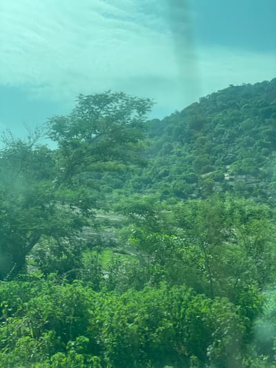 This media file captures a scenic view of a lush, green mountainside partially obscured by trees. The image is oriented vertically, suggesting it was taken from a moving vehicle looking upwards and to the side. The foreground is dominated by dense foliage, with leaves of various shades of green. Some branches and smaller trees are visible, some with bare branches indicating a possible dry season or a specific type of tree.
Behind the trees, a rocky mountainside rises steeply, covered in vegetation. The rocks are visible in places, appearing grey and weathered. The overall impression is one of a natural, untamed landscape. The sky is visible in the upper left portion of the frame, appearing bright and possibly overcast with some faint streaks that could be clouds or reflections on a surface.
The lighting suggests it is daytime, likely with diffused sunlight due to the overcast sky. There are no people or man-made objects clearly visible, emphasizing the natural setting. The image evokes a sense of peacefulness and the grandeur of nature.
There is no visible text in the image. Given the provided location context of Rimin Ziem, Nigeria, the scene likely depicts a mountainous or hilly region within that area, characterized by its vibrant green vegetation and rocky outcrops.