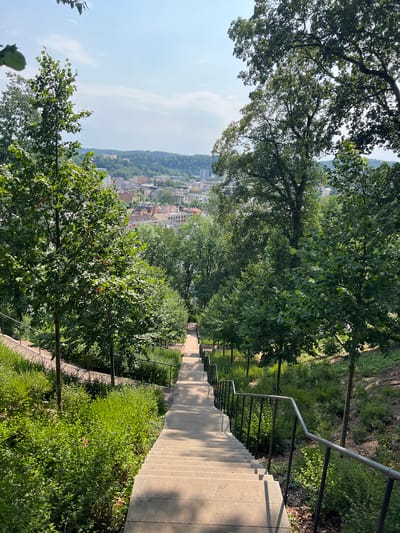 The image shows a perspective view looking down a set of stone stairs in a park-like setting, with a city skyline visible in the distance. Lush green trees and dense vegetation line the stairs and slope downwards to the left. The stairs themselves are wide and appear to be made of concrete or stone, with a metal handrail running along the right side. In the background, a city with buildings of various sizes and architectural styles is spread out across rolling hills under a bright, slightly hazy sky. The overall scene suggests a sunny day in an urban park overlooking a town. This location is identified as the Stairs to the Castle in Náchod, Czechia.