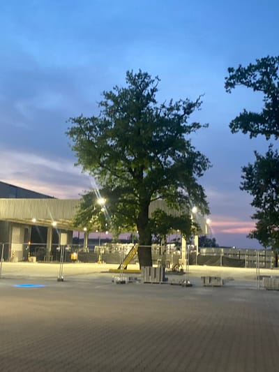 The image depicts an outdoor scene at dusk, likely in Niepołomice, Poland, given the context. In the foreground, a paved area with interlocking bricks is visible, extending towards a larger open space. A bright blue light emanates from a circular area on the ground in the mid-left of the image.
Dominating the mid-ground is a large, mature tree with full foliage, illuminated by spotlights. Behind the tree, a building with a corrugated metal facade is visible, supported by an open-air structure with vertical supports and horizontal beams. Several lampposts with lit bulbs are positioned in front of this building. Further in the background, there are stacks of what appear to be construction materials or pallets, some covered with black tarpaulin, and fencing. The sky transitions from a deep blue at the top to lighter hues with hints of pink and purple near the horizon, suggesting a sunset or twilight. Two other large trees with dense foliage frame the sky in the upper right portion of the image. The overall impression is one of an industrial or commercial area, possibly a logistics or construction site, during the evening transition. No people are visible in the frame.