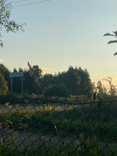 The image depicts a rural landscape at dusk, possibly within the city of Зарница Снт, Russia. In the background, a sign with Cyrillic lettering, which appears to read "ГРОМИЛОВО-ЛОБАНОВО," is visible. This sign is set against a backdrop of dense trees. In the foreground, a chain-link fence with some overgrown grass and weeds in front of it partially obscures the view of a dirt road and more greenery. The sky is clear with a hint of sunset colors. There are no people or animals visible in the scene. The overall atmosphere is one of quiet, natural scenery.