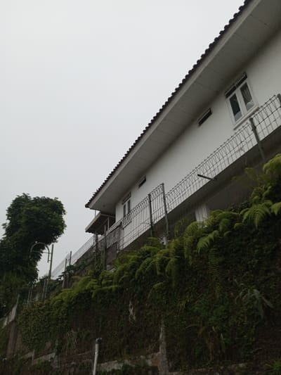 The image depicts a static scene in Ambakirano, Madagascar, viewed from a low angle beneath an overcast, light gray sky. A multi-story building with white exterior walls and a red-tiled roof dominates the upper right and central portions of the frame. Multiple rectangular windows are visible on the building's facade, some appearing open. A metal grid fence extends horizontally across the mid-ground, running in front of the building and appearing to demarcate the property line. Below the fence, a retaining wall or embankment is densely covered with green vegetation, primarily ferns and vines. On the far left, a large, dark green tree stands adjacent to a vertical street lamp pole. No individuals are present in the scene, and no actions or interactions are occurring.