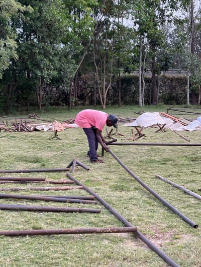 This image depicts an outdoor scene in a grassy area, with a man engaged in construction or deconstruction work. The setting, given the context, is Makuyu, Kenya.
The main subject is a man, positioned towards the center-left, seen in a crouching or kneeling posture. He is wearing a short-sleeved pink t-shirt, dark trousers, and a dark baseball cap. His hands are actively gripping two dark metal poles, suggesting he is connecting, separating, or manipulating them as part of a larger structure.
Around the man and extending into the foreground and midground, numerous dark metal poles are scattered across the green grass. Some are lying flat, while others are standing vertically, indicating components of a larger framework, possibly for a tent, stage, or temporary structure. In the background, further from the man and closer to the treeline, several white or light-colored tarps or pieces of fabric are draped over what appear to be collapsible frames or chairs, awaiting use or being prepared.
The background is dominated by a dense line of trees with varying heights and foliage, creating a natural boundary to the open grassy field. The lighting is soft and diffused, characteristic of an overcast sky, suggesting either early morning, late afternoon, or a cloudy day. There are no harsh shadows. The scene portrays a moment of focused manual labor in an open-air environment. No visible text is present in the image.