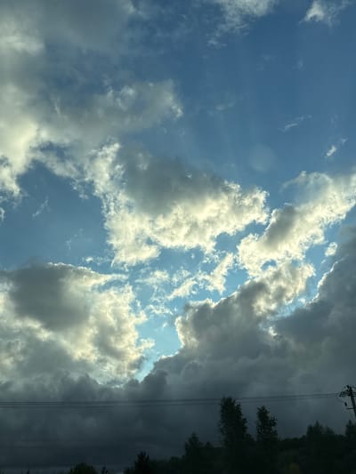 The media file depicts a dramatic sky scene with a mix of bright, sunlit clouds and dark, ominous storm clouds. The bright clouds are illuminated by sunlight, creating a sense of depth and texture. In contrast, the dark clouds on the right side of the frame suggest an approaching storm. A power line with three cables stretches vertically down the right side of the image, silhouetted against the dark clouds. To the far right, the dark shapes of trees are visible, hinting at a forested or natural landscape.
The lighting suggests it is either early morning or late afternoon, with the sun casting long shadows and highlighting the edges of the clouds. The weather appears to be dynamic, transitioning from fair to stormy. The composition, with the sky filling most of the frame and the power line cutting diagonally, creates a sense of vastness and perhaps unease.
The location context provided is Zalesnaya, Russia. There is no visible text in the media file.