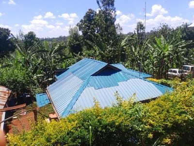 This image presents an elevated view of a residential area in Kahuro, Kenya, characterized by dense tropical foliage under a partly cloudy blue sky. The central subject is a building with a complex, multi-pitched roof constructed from corrugated metal panels, predominantly bright blue with sections of lighter blue or silver. To the left of this main structure, a collection of smaller buildings with visibly rusted corrugated metal roofs is partially observed on unpaved ground. The immediate foreground is dominated by a dense hedge of green and yellow-green foliage. Numerous tall banana plants and other broadleaf trees heavily populate the surroundings and extend into the distant background. In the upper right background, two light-colored vans are parked on an unpaved surface, partially obscured by vegetation. A tall, slender metal mast or antenna structure is visible extending skyward to the right of the main building's roof. No people or overt actions are depicted.