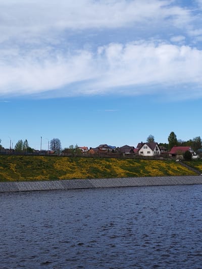 The scene depicts a body of water with houses and other buildings in the background, potentially located in Myshkin, Russia. A concrete embankment leads up to a grassy area covered in yellow flowers. Trees are interspersed among the houses. The sky above is blue with scattered white clouds. The water appears dark and slightly ruffled. Street lights and power lines are also visible.