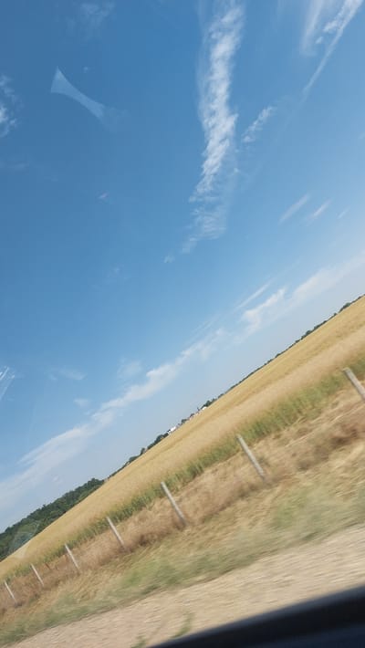 The image shows a view from a vehicle, likely a car or train, traveling through a rural landscape in Kolarovo, Bulgaria. The scene is dominated by a clear blue sky with wispy white clouds, reflecting on the surface the vehicle is traveling on. To the right, a dry, golden field stretches into the distance, marked by a line of fence posts. A thin strip of green trees runs along the edge of the field, bordering a distant cluster of white buildings, possibly indicating a village or town. The time of day appears to be daytime, with bright sunlight illuminating the scene. The dry, golden field suggests a warm, possibly summer, season. The perspective is tilted, giving a sense of motion or an unusual angle of observation. There are no visible people or specific objects that are the main focus, but rather the landscape and sky are the primary subjects. The overall impression is one of travel through a sunny, rural Bulgarian setting.
