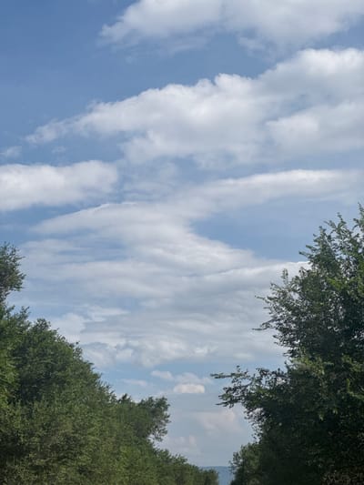 This is an outdoor, eye-level shot of a sky filled with white, wispy clouds against a bright blue background. On the left and right sides of the frame, the tops of dense green trees are visible, with their foliage filling the lower portion of the image. The trees frame the sky, creating a sense of looking up from beneath a canopy. The overall impression is one of a clear, pleasant day, possibly in a rural or natural setting. The image appears to be taken in село Умбеталы Карибаева, Kazakhstan.